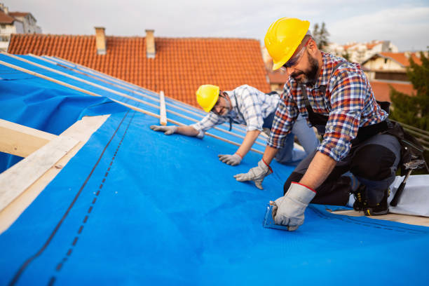 Professional Roofing Contractor in Fruitvale, CO