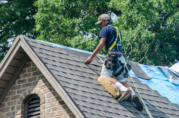 Best Storm Damage Roof Repair  in Fruitvale, CO